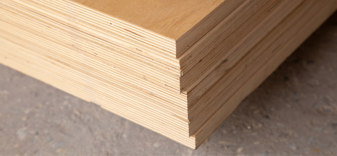 Cross-section showing real Gurjan plywood layers with hardwood grain