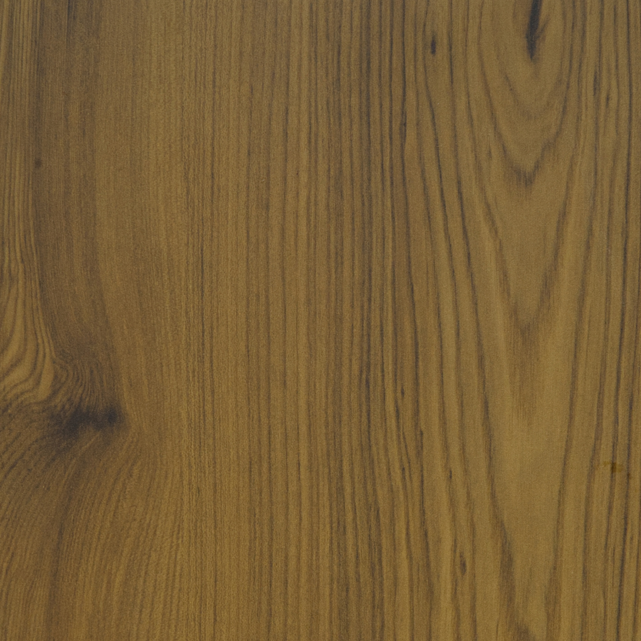 Plyneer WS-305 laminate with golden elm woodgrain texture and warm honey-brown coloration.