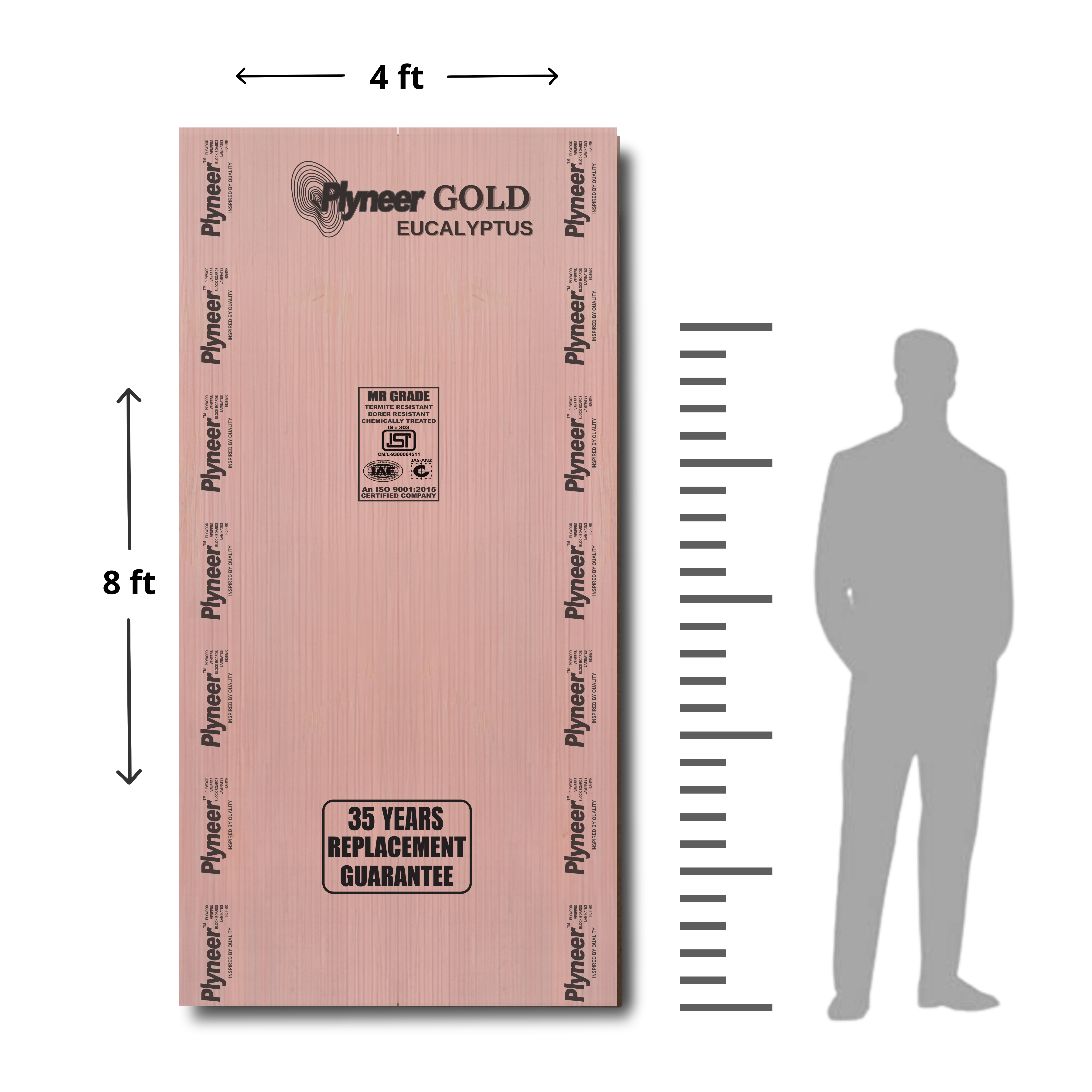 Plyneer Gold Eucalyptus MR Grade