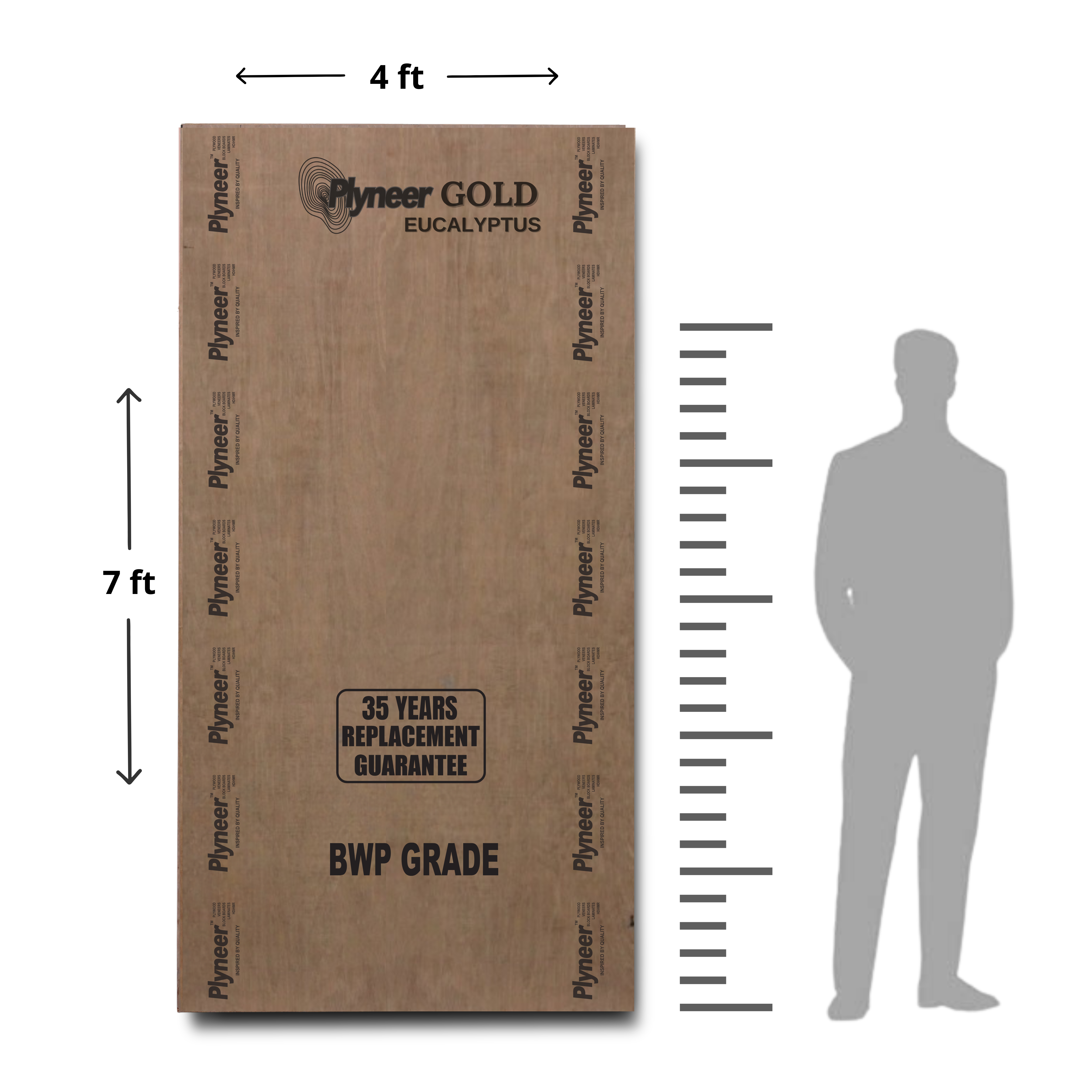 Plyneer Gold Eucalyptus BWP Grade