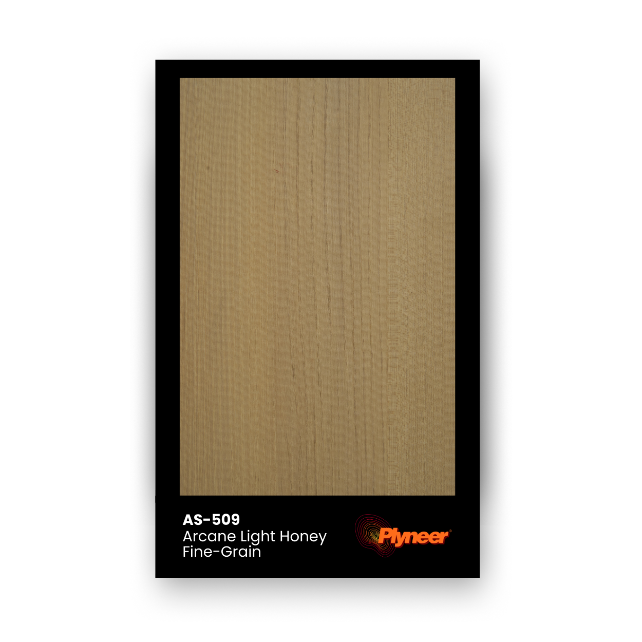 Plyneer AS-509 light honey wood laminate with fine-grain texture and natural linear pattern.