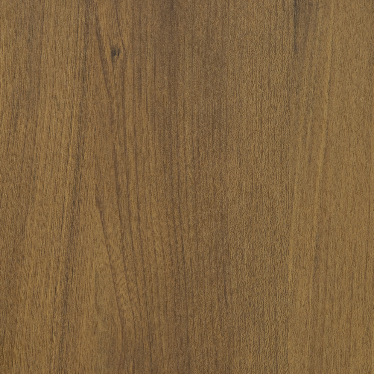 Plyneer WS-309 laminate in rustic hazel woodgrain with natural warm texture.