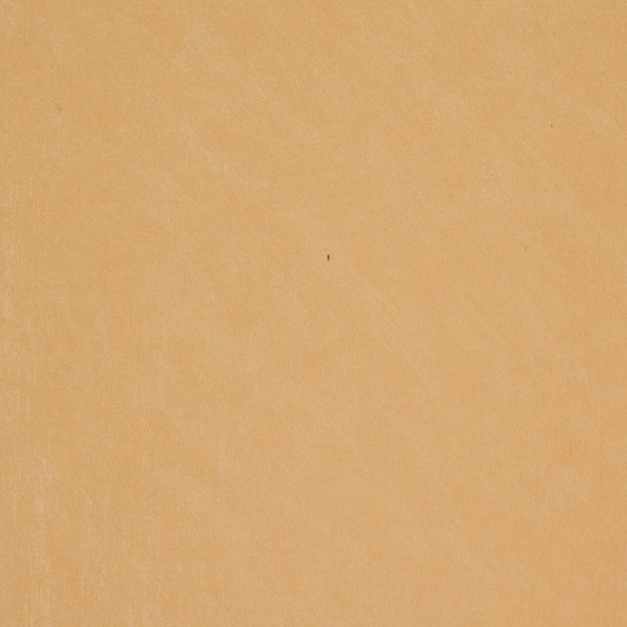 WV-111 honey beige sf laminate sample with matte surface by Plyneer.