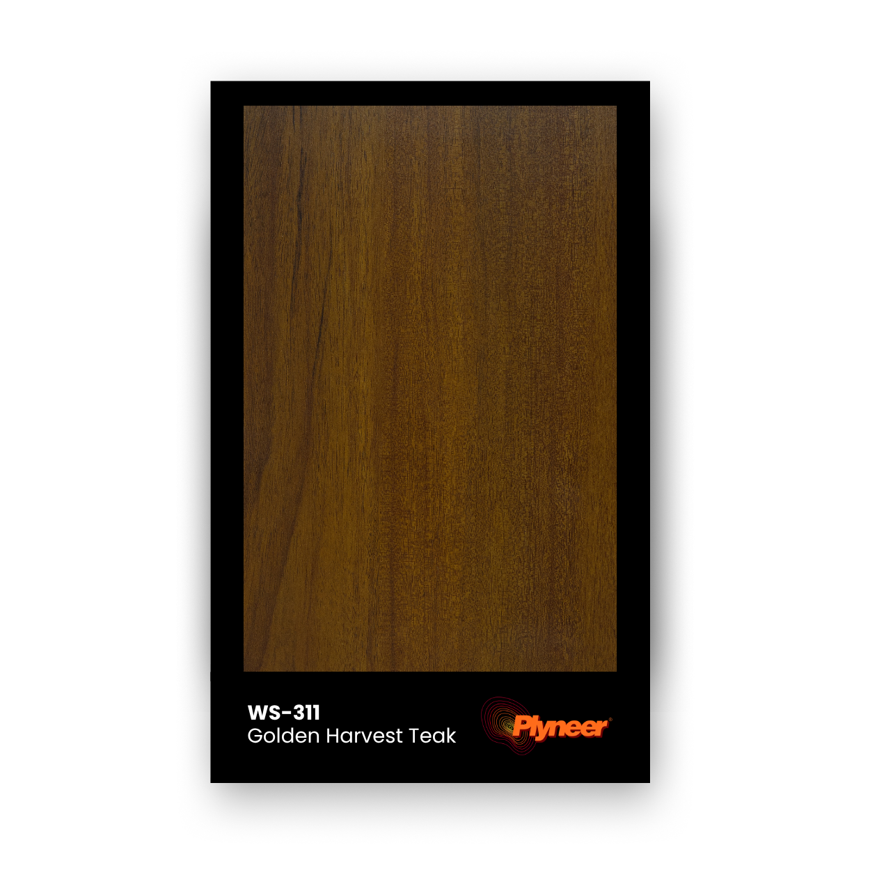 Plyneer WS-311 teak laminate with warm honey woodgrain texture.