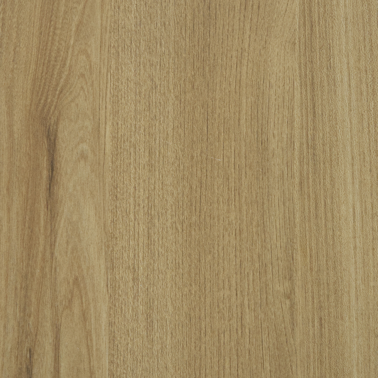 Plyneer WS-321 sandy oak laminate with light woodgrain texture and matte finish.