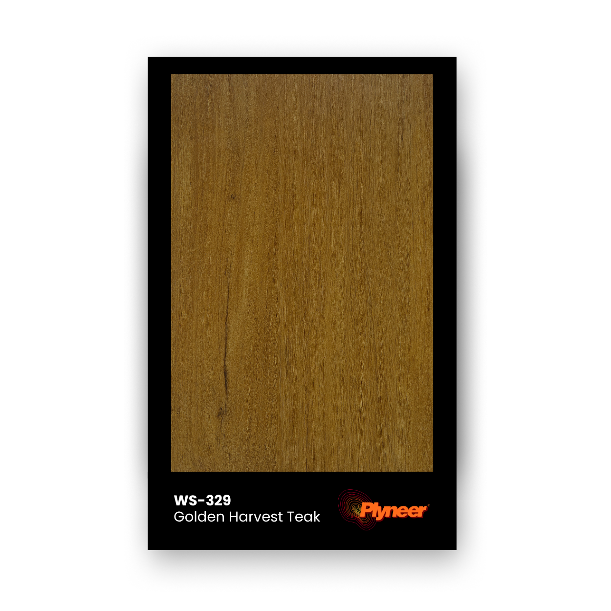 Plyneer WS-329 golden teak laminate with fine grains and warm matte wood texture.