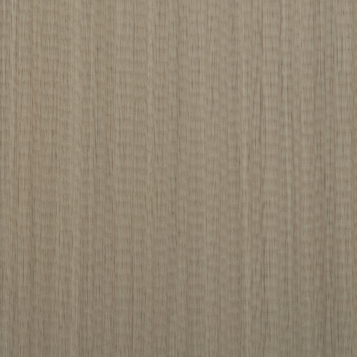 AS-536 ash beige laminate with fine straight vertical wood grains.
