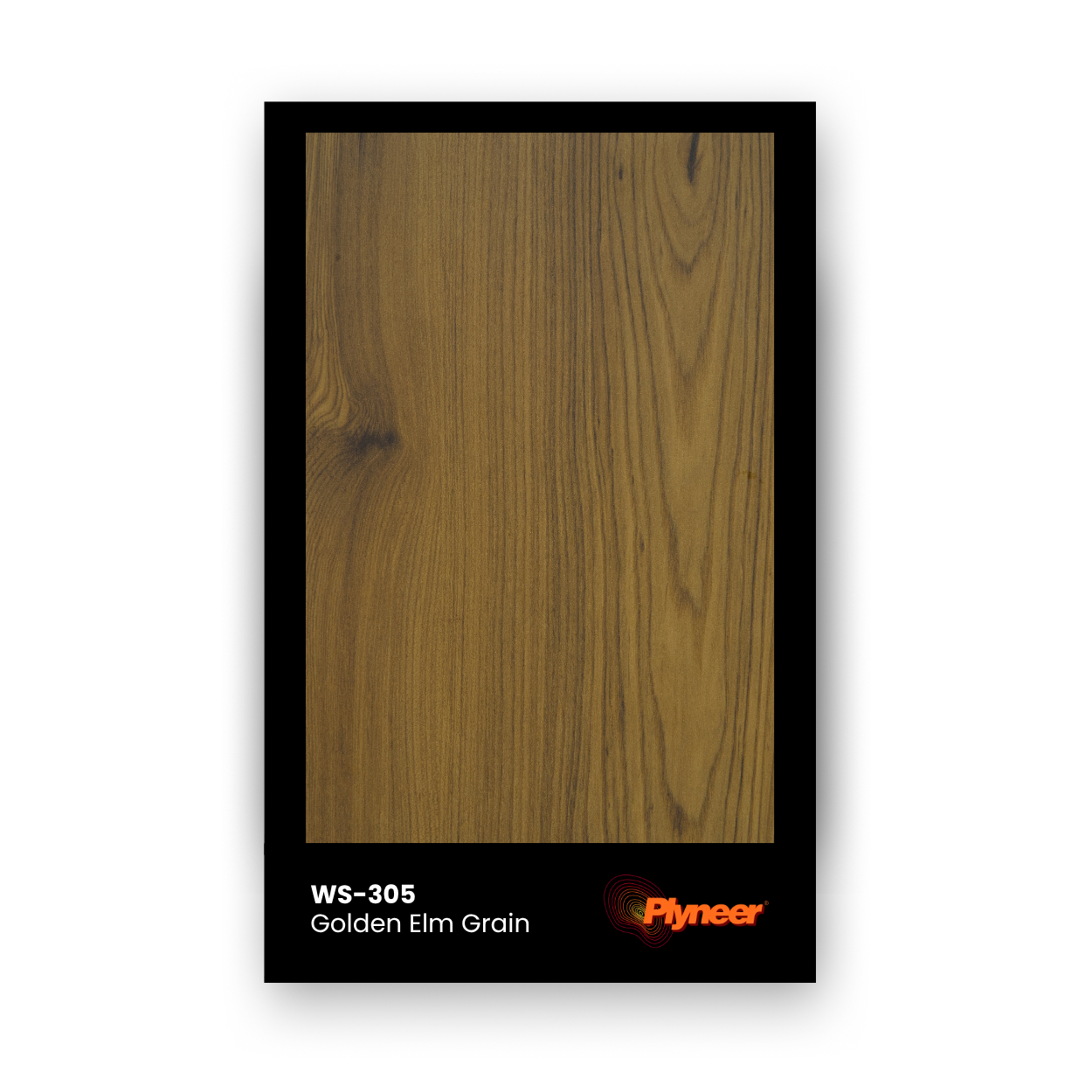 Plyneer WS-305 laminate with golden elm woodgrain texture and warm honey-brown coloration.