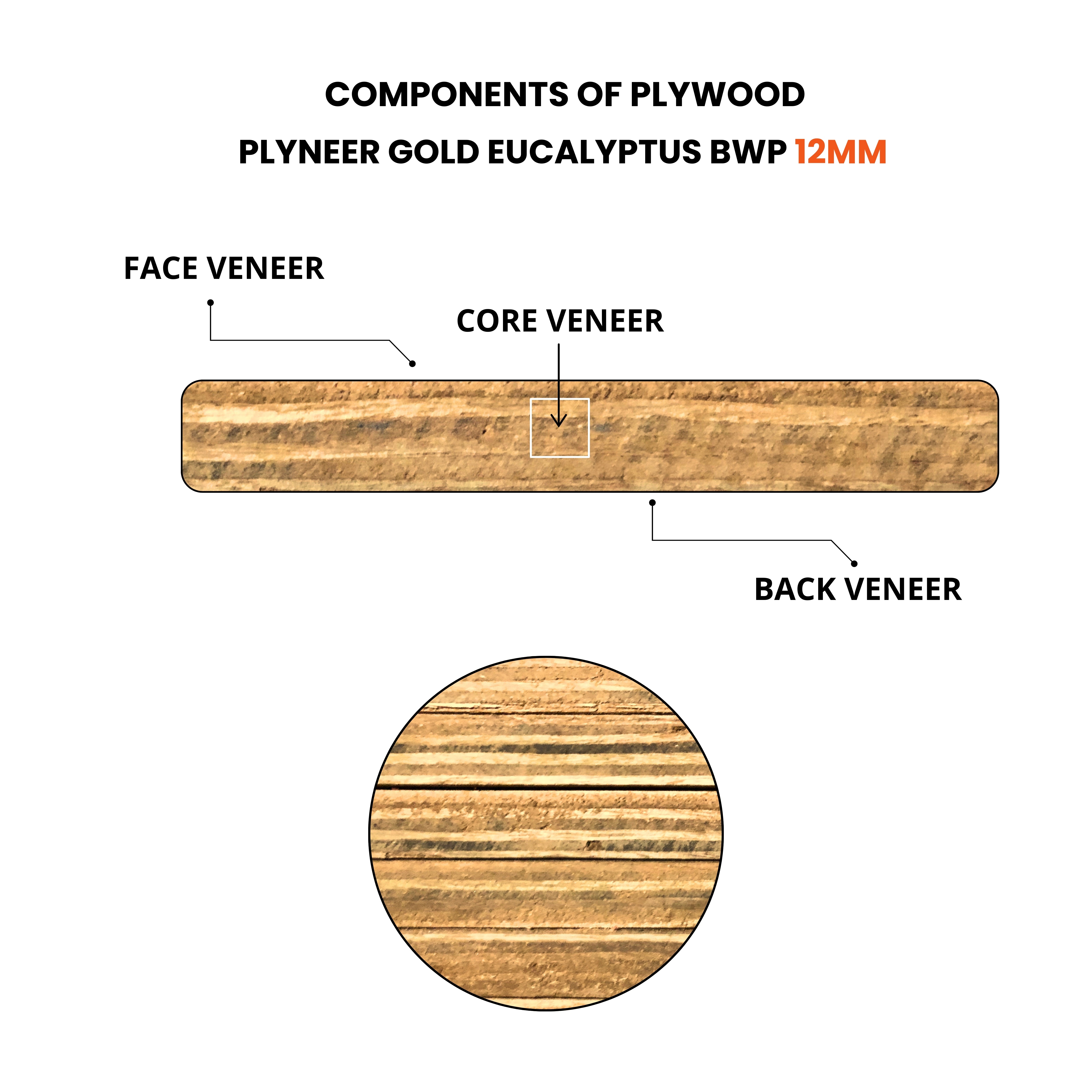 plyneer gold eucalyptus bwp grade