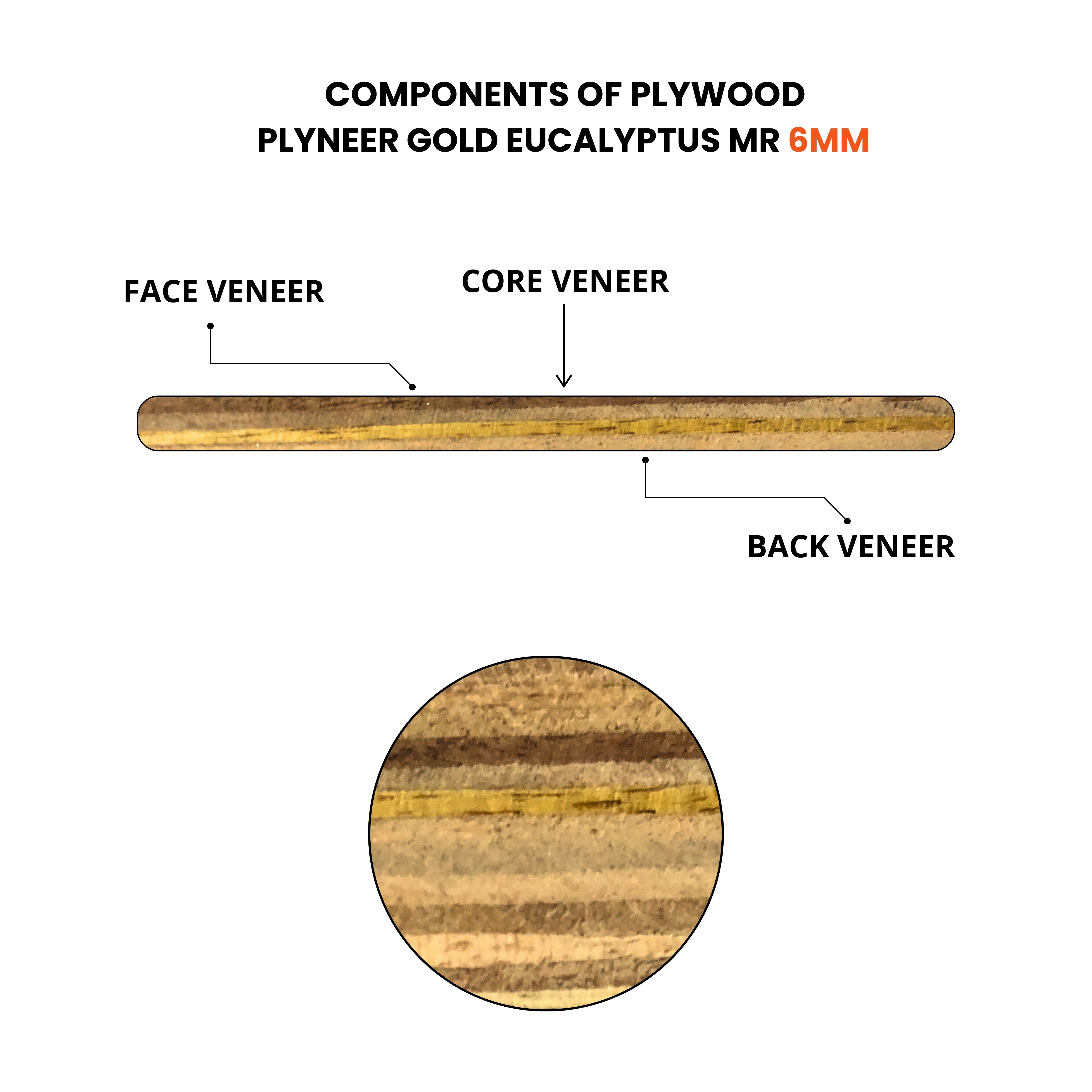 "Plyneer Gold Eucalyptus MR Plywood for modern bed, door, and wardrobe designs"