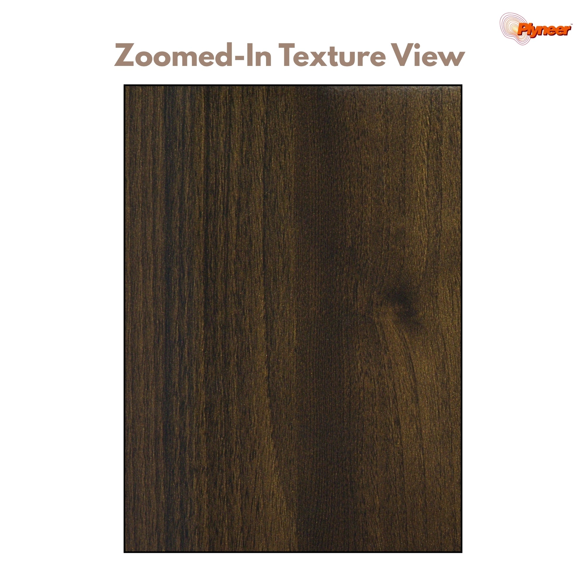 Plyneers Wood Laminate 2650 SF TYROL WALNUT