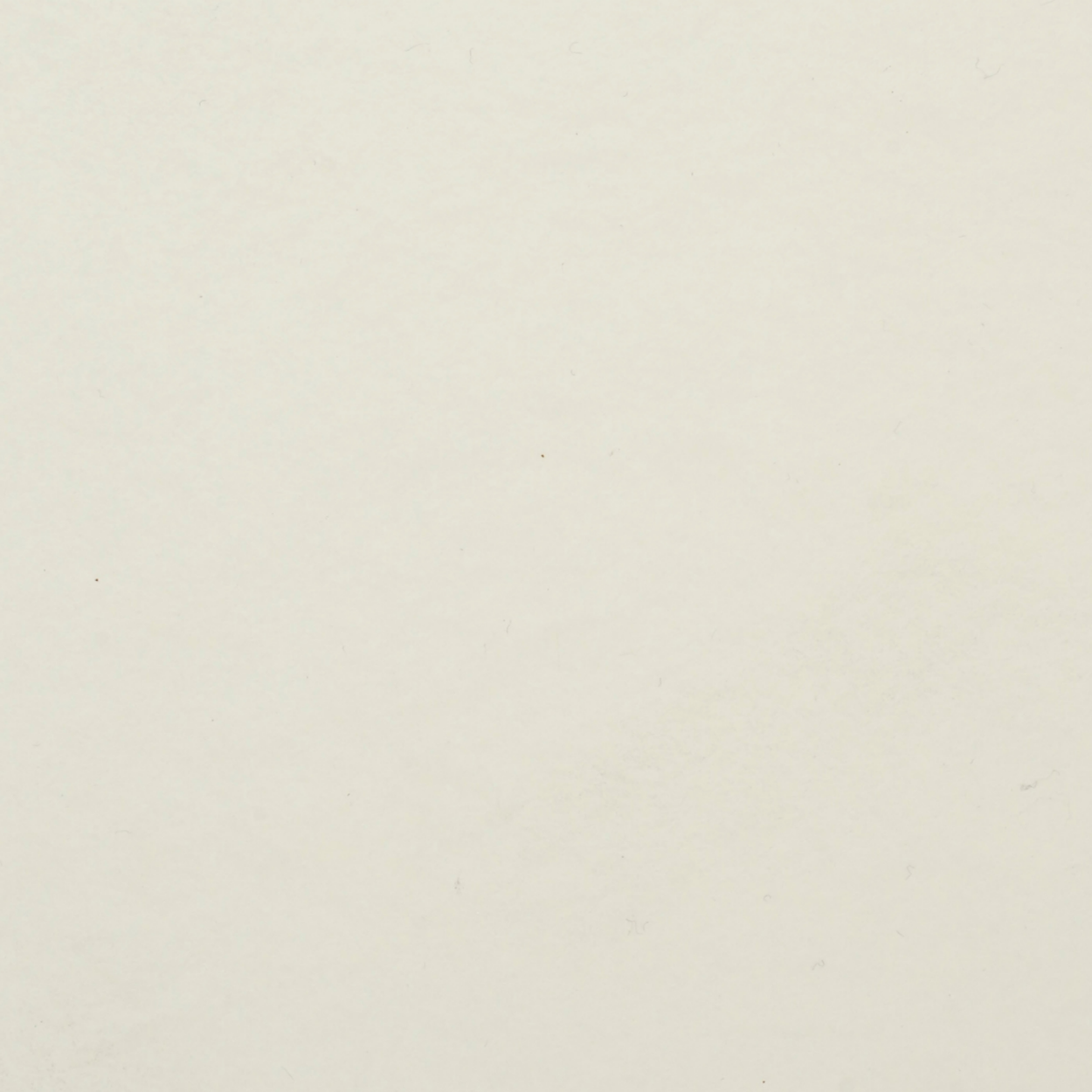 PL-195 Frosty White Matte laminate featuring a clean, soft white tone with a smooth matte surface by Plyneer.