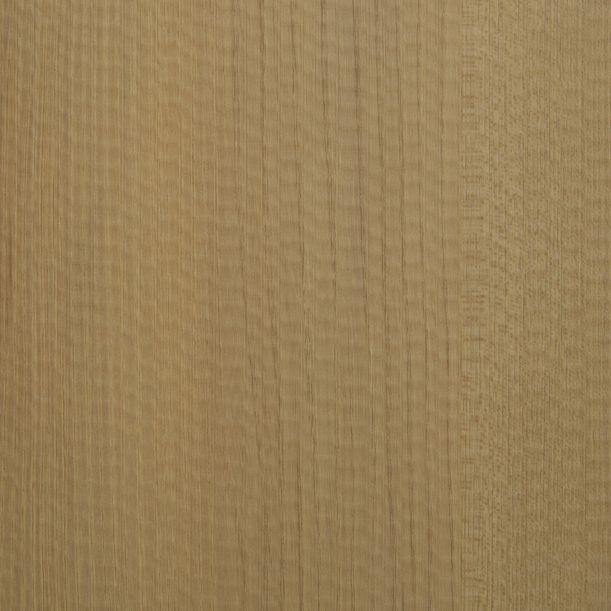 Plyneer AS-509 light honey wood laminate with fine-grain texture and natural linear pattern.
