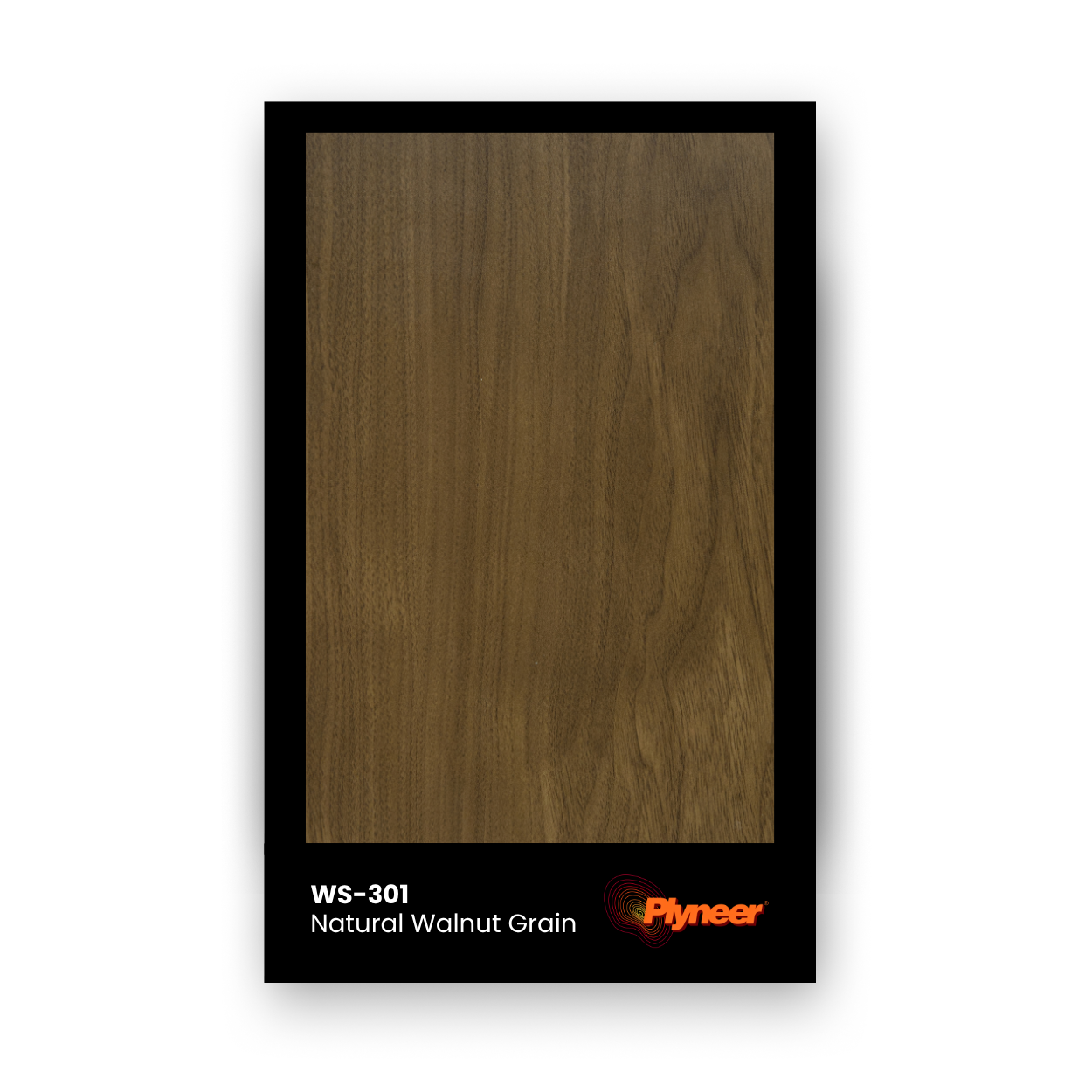 Plyneer WS-301 walnut wood-grain laminate with matte natural texture for modern interiors.