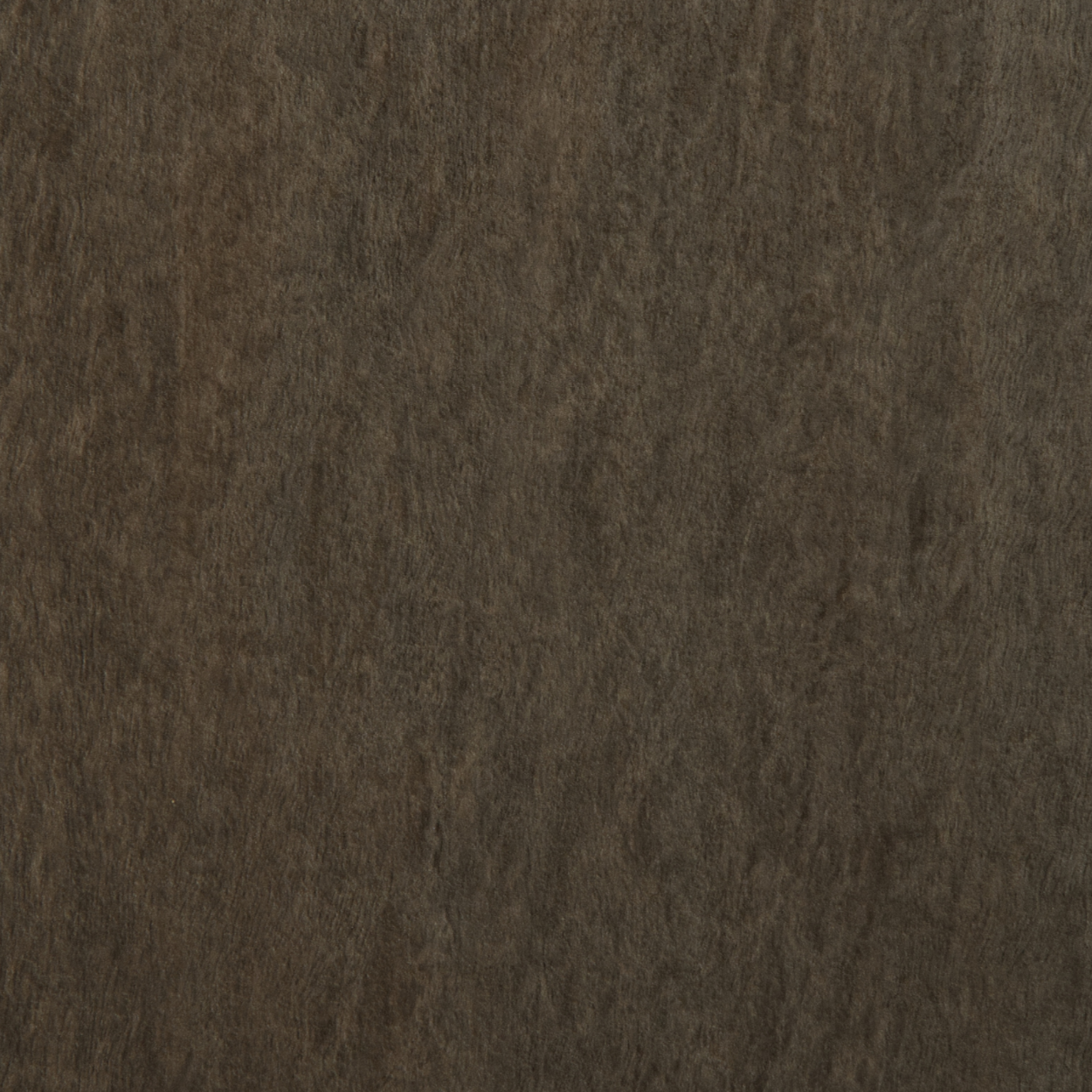 AS-511 charcoal driftwood laminate with natural grey-brown wood texture and soft grain movement by Plyneer.