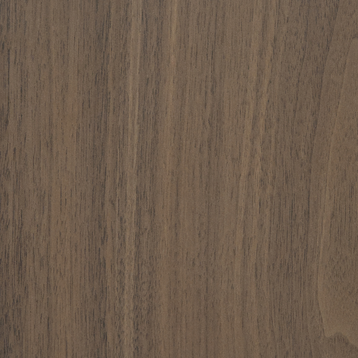 Plyneer WS-313 walnut laminate with soft brown woodgrain texture.