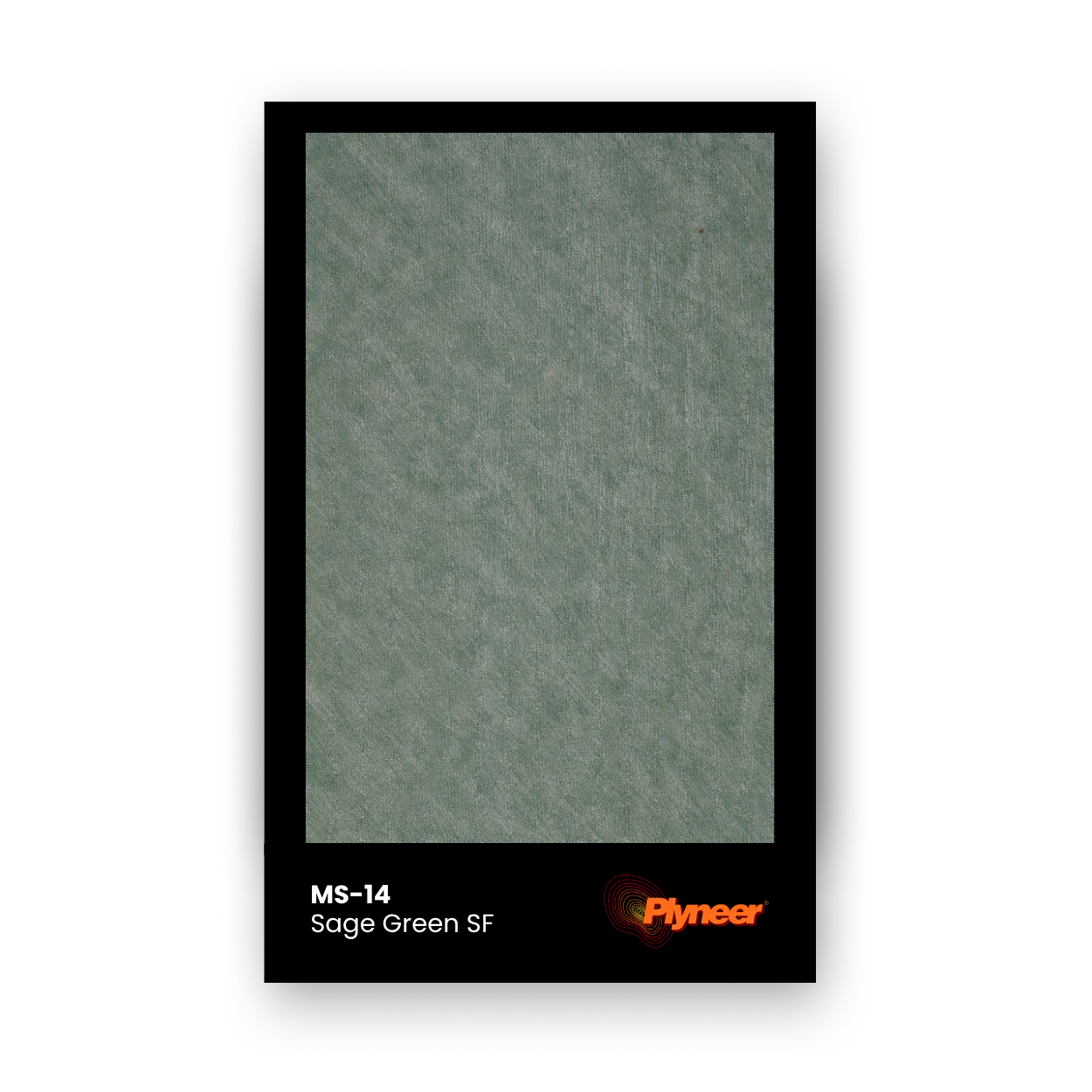 WV-117 sage green smooth finish laminate sample with matte surface by Plyneer.