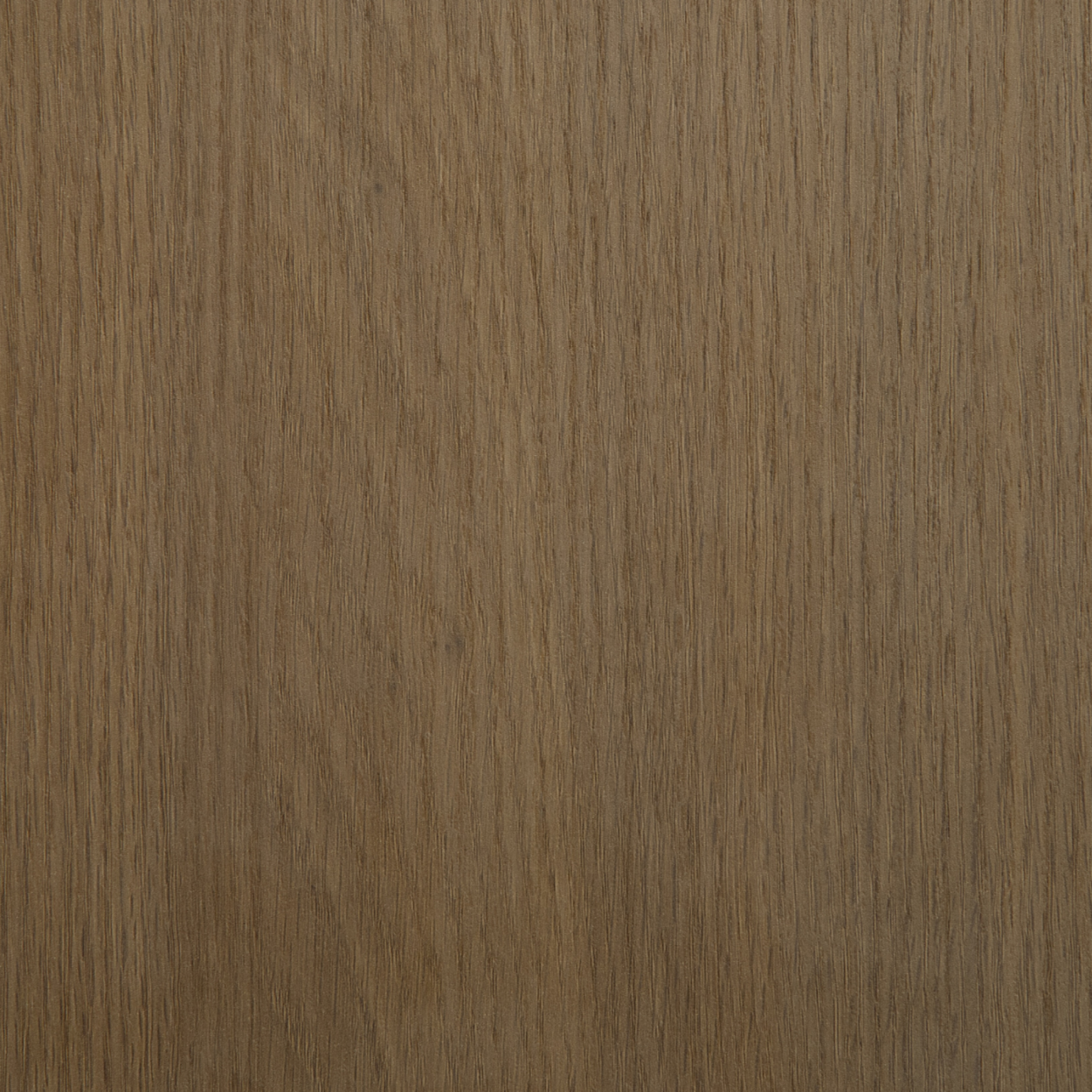Plyneer AS-501 quarter-cut oak laminate with fine straight grains in a natural brown-beige tone from the Arcane Series.