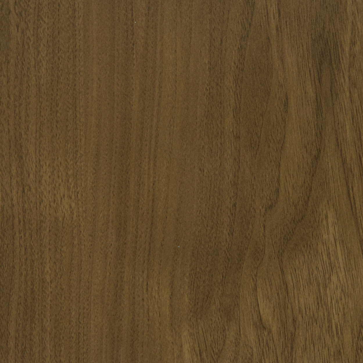 Plyneer WS-301 walnut wood-grain laminate with matte natural texture for modern interiors.
