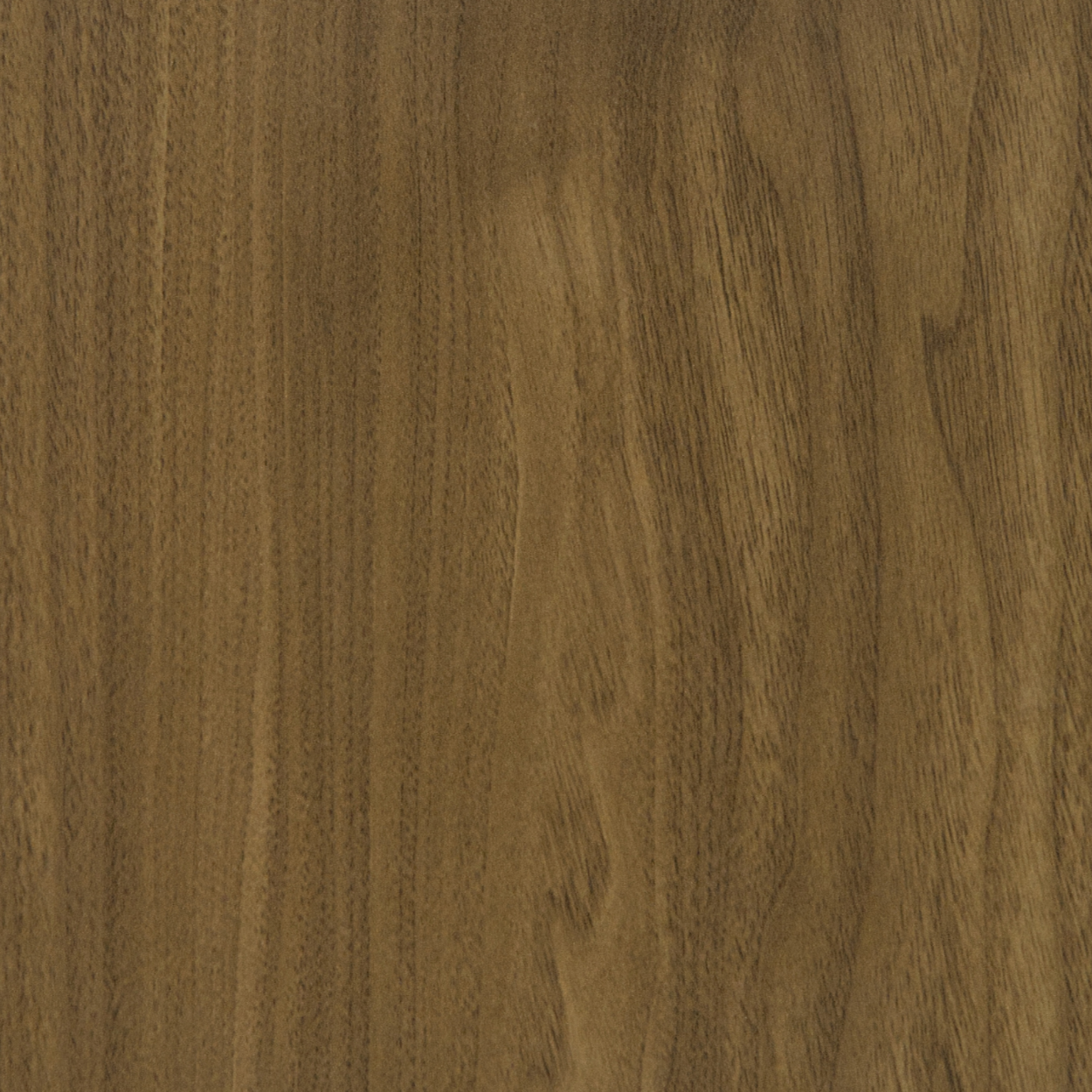 Plyneer WS-315 golden walnut laminate with natural flowing woodgrain texture.