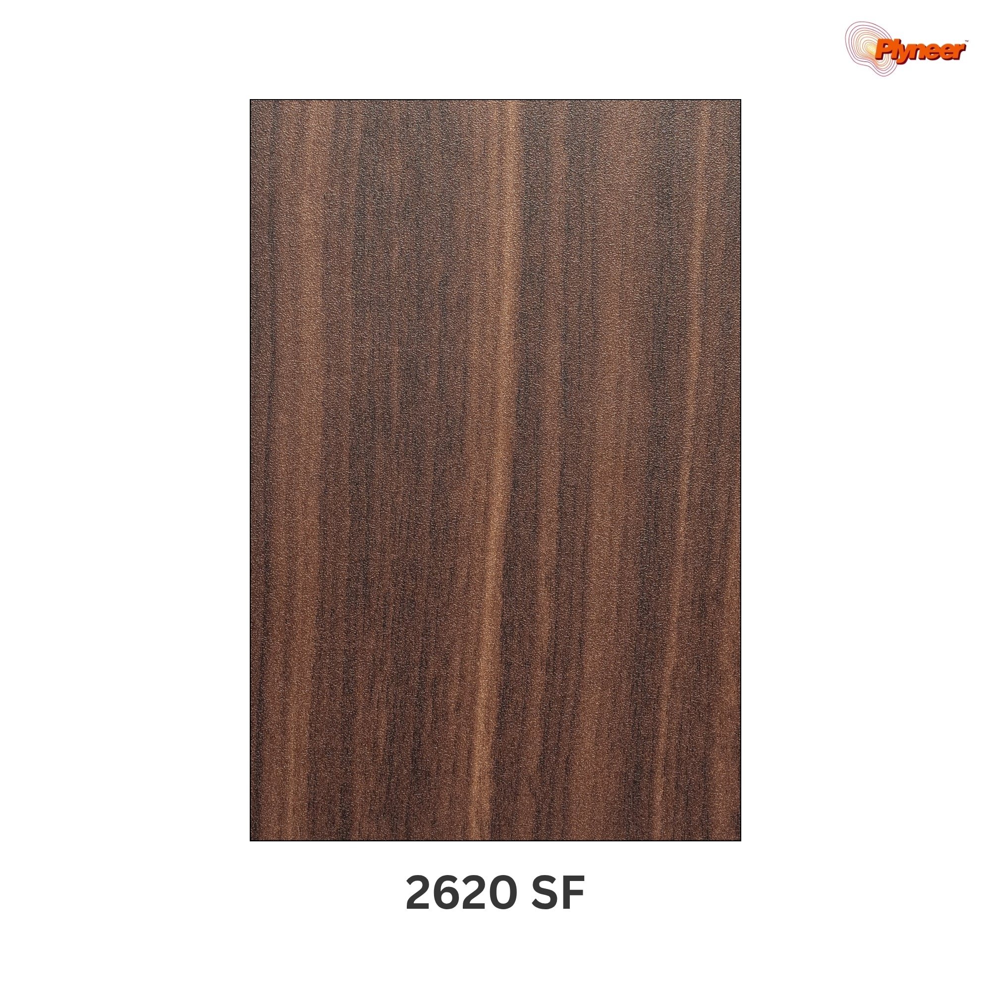 Plyneers Wood Laminate 2620 SF/MF WALNUT