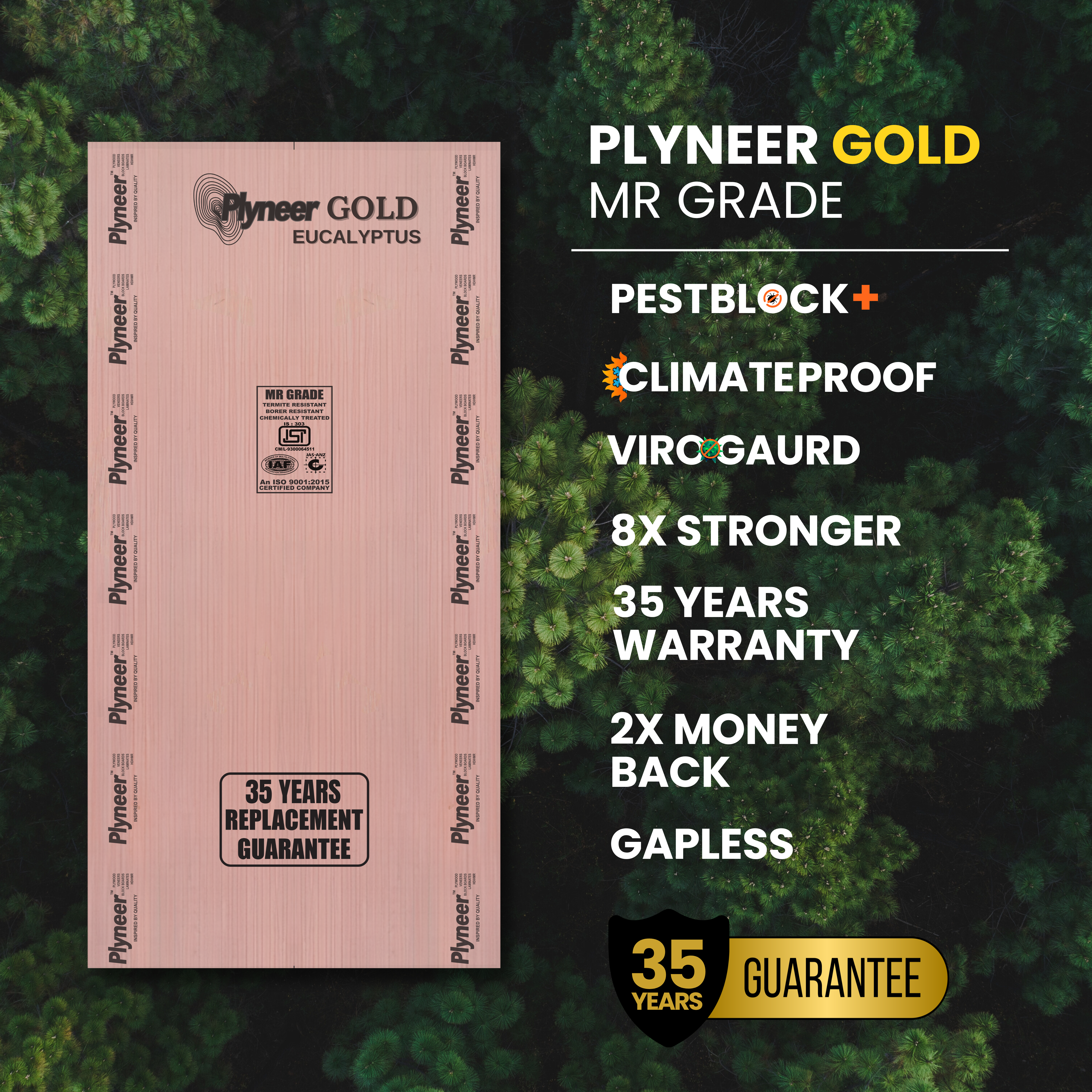 Plyneer Gold Eucalyptus MR Grade