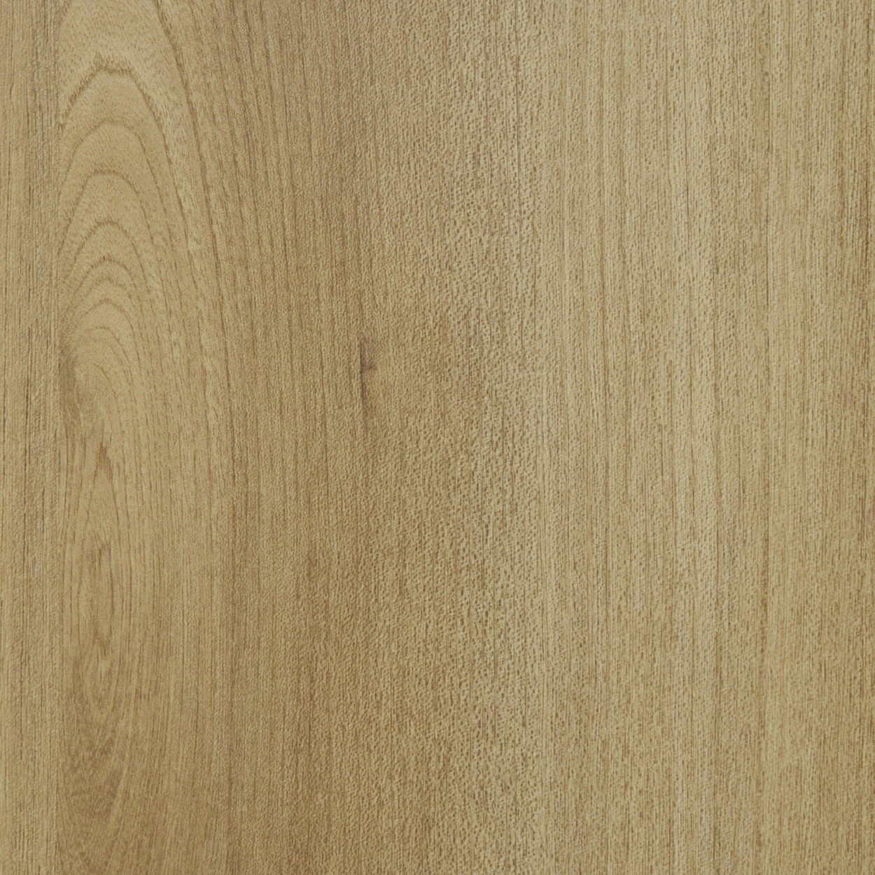 Plyneer WS-304 laminate featuring natural oak woodgrain texture in warm beige-brown tones.