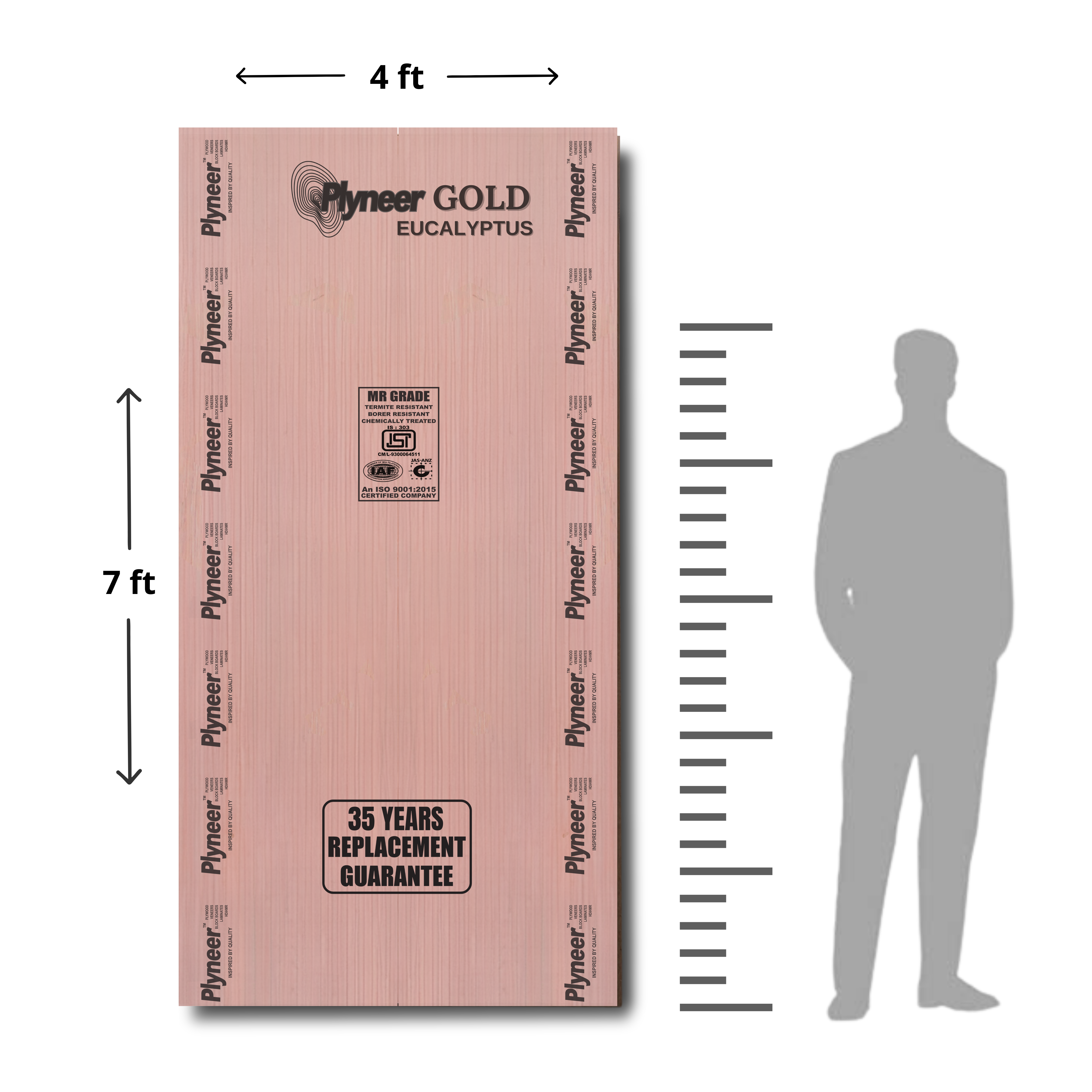 Plyneer Gold Eucalyptus MR Grade